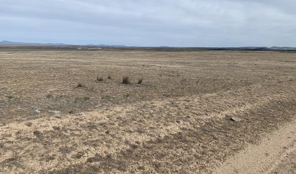 Bare soils show evidence of drought in eastern Oregon. 