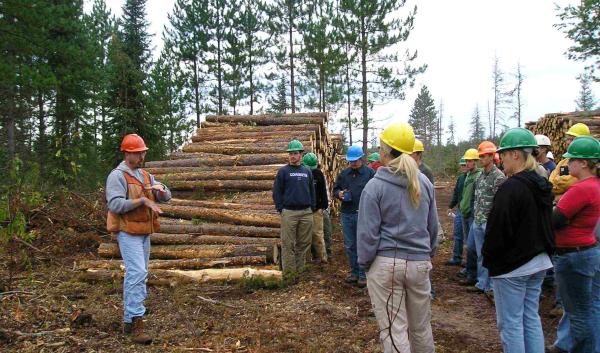 Forestry log camp