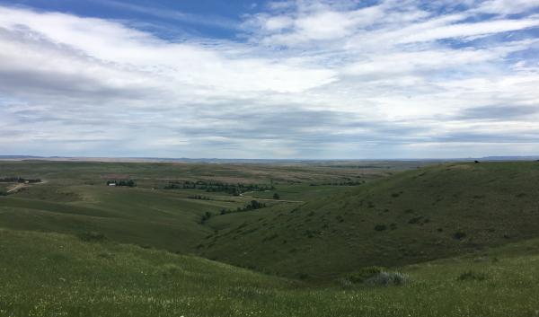 Rolling hills of native rangelands in northeastern Wyoming on a sunny day in July with ranch houses in the background.