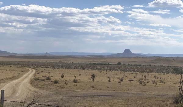 Rangeland in drought, Colorado Plateau 2020