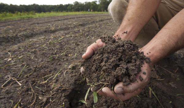 A farmer holds a handful of healthy soil