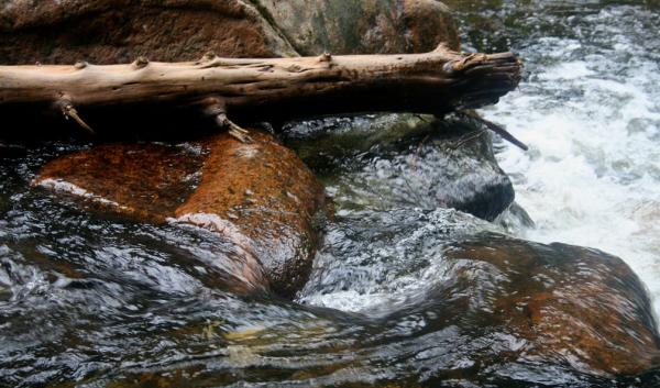 close up of a stream with rushing water over rocks and a log