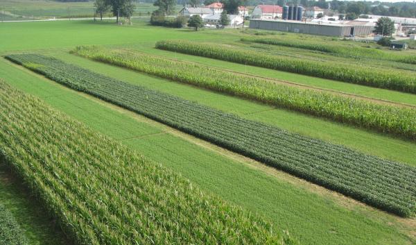 An aerial overview of plots participating in USDA-ARS Farming Systems Project in Beltsville, Maryland