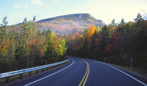 autumn road view