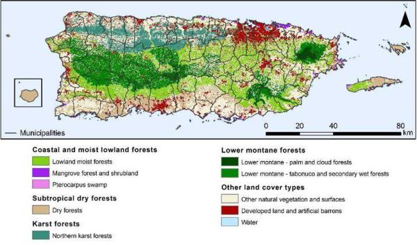 Map of Puerto Rico displaying forest types