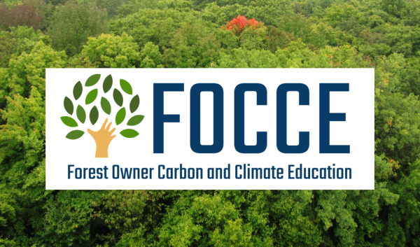Trees and the forest owner carbon and climate education logo