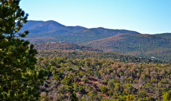 Piñyon decline in the Lincoln National Forest due to drought and insect infestations
