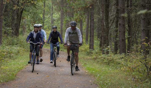 mountain bikers on a path in the woods