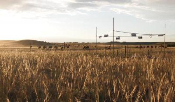 Research Study Site: USDA-ARS High Plains Grasslands Research Station