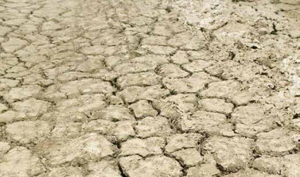 drought - dry ground